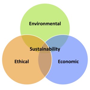 Three Stool Sustainability 3 E's