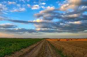 Agriculture Land Use Metric